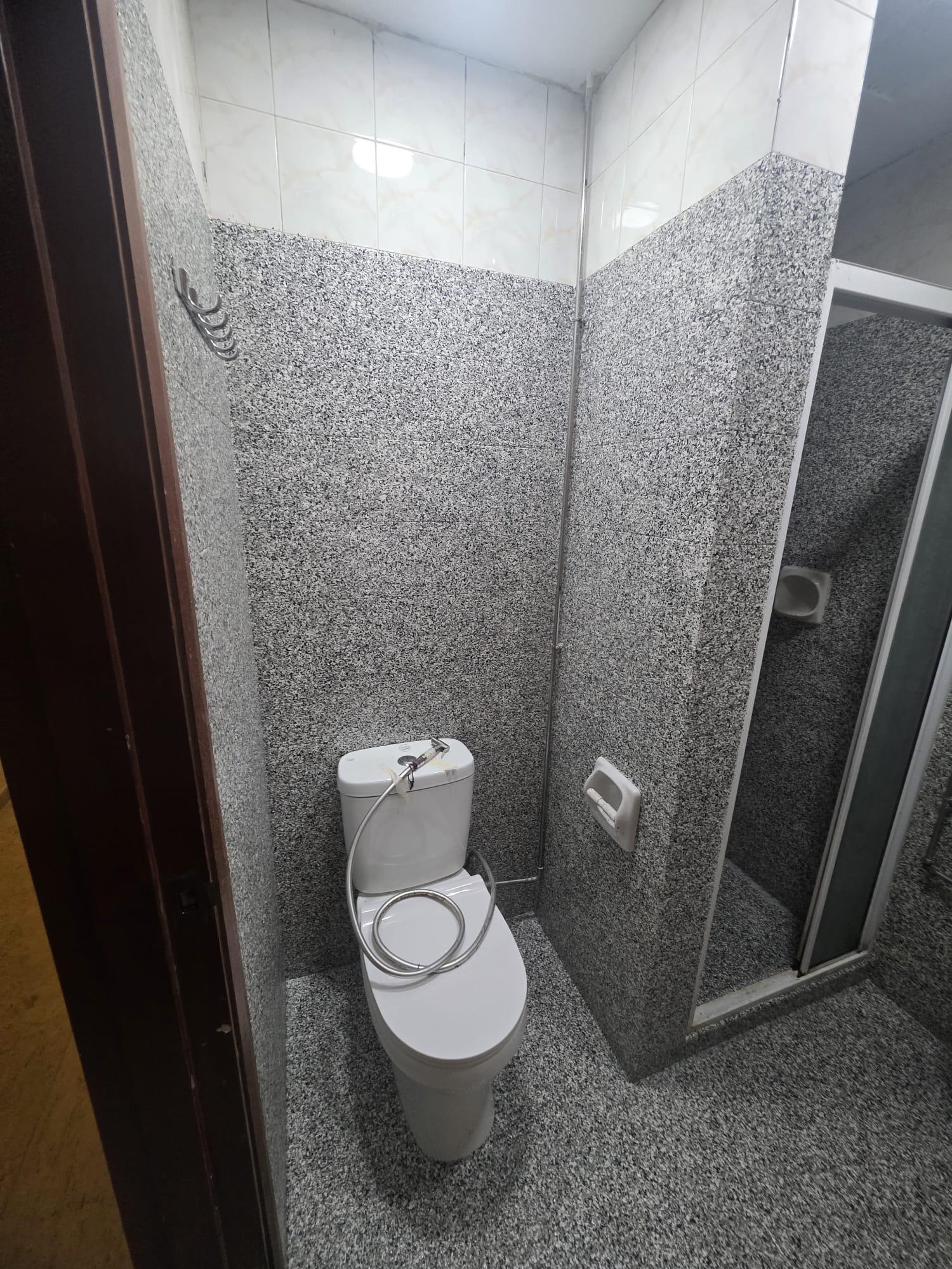 Decorative epoxy flake coating on a Singapore landed-home bathroom floor by Shieldguard