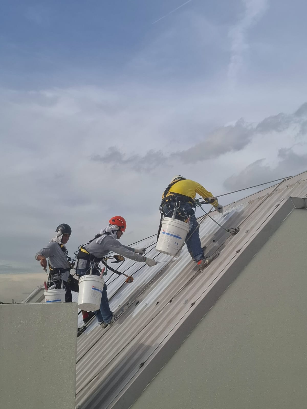 Shieldguard rope-access painting crew in safety harnesses applying coating on a high-rise metal roof in Singapore