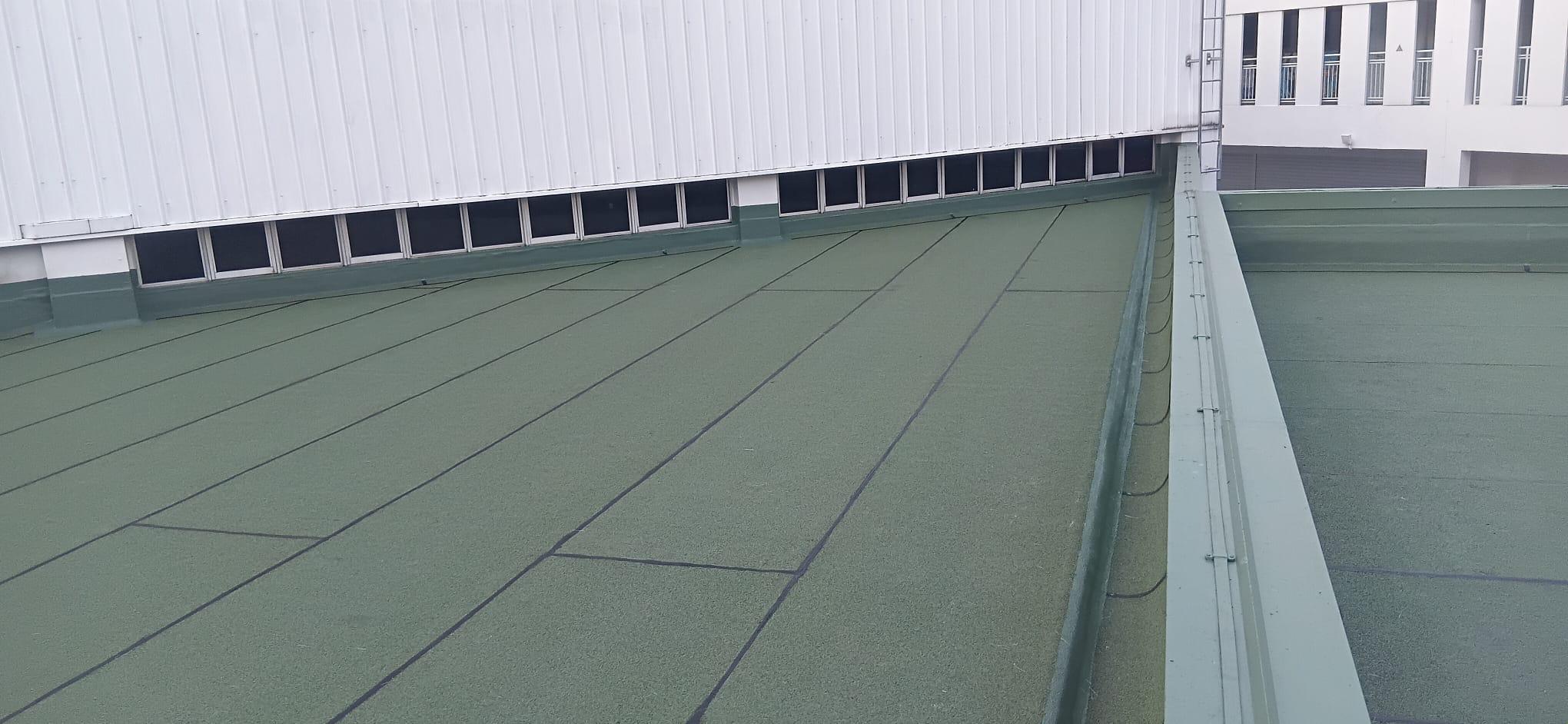 Green polyurethane waterproofing membrane on a flat RC roof with sealed parapet upstands at a Singapore commercial property