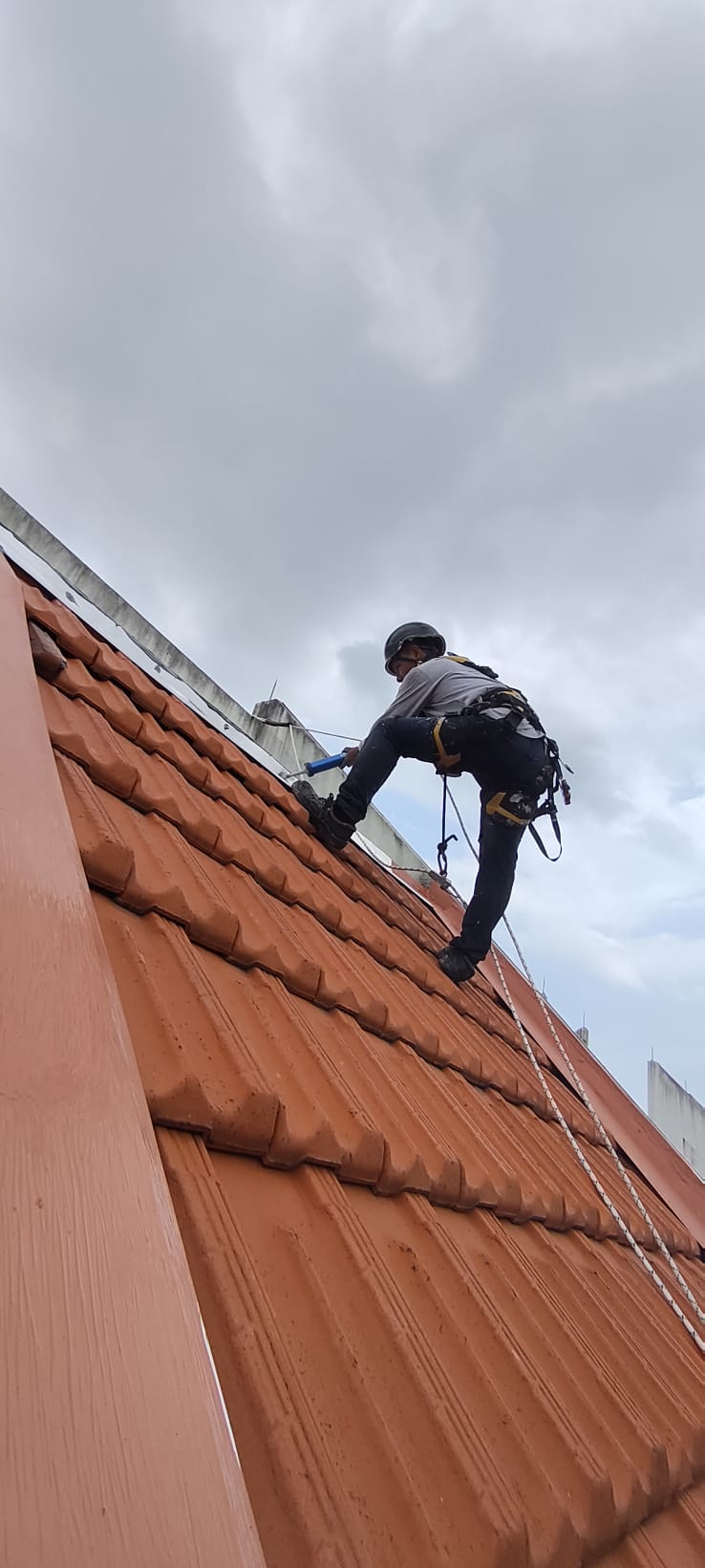 Shieldguard rope-access waterproofing specialist applying sealant to a red pitched-tile roof in Singapore